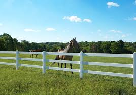 Split rail fence with mesh. Split Rail Fences Landscaping Network