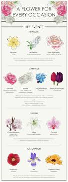 We did not find results for: Sending Flowers Is A Thoughtful Gesture Or Is It Inspire My Style Flower Meanings Language Of Flowers Flower Guide