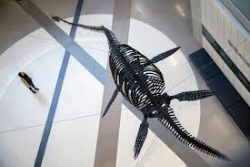 Though it does not possess the high health and damage of the mosasaurus or the kronosaurus, it is much faster than the latter, and its mobility can be used in a variety of situations. Elasmosaurus Skeleton Alumni Ubc