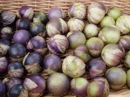 Physalis Philadelphica 70 Days This Is Our Effort To Breed A Medium Sized Purple Tomatillo That Stores For A Very Lo Plant Breeding Tomatillo Tomatillo Plant