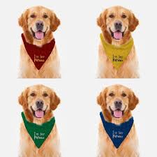 Harry Potter Pet Dog Bandana Patronus Gryffindor Hufflepuff Ravenclaw Slytherin Harry Potter Gift Harry Potter Pet Names Harry Potter Pets Pets