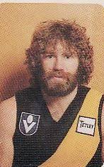 The late Denis Collins changed clubs and hairstyles but the beard stayed  true. He crossed to Carlton after six seasons at Footscray, and was the  Blues biggest vote getter in the 1978