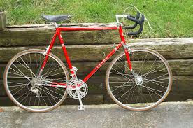 Image result for Brown 1978 Fleet