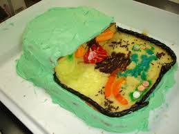 16,877 cell 3d models found. Cell Cake Is This Science
