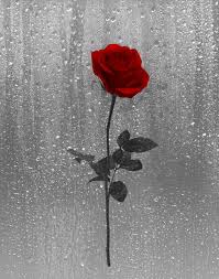 Black And White Wall Painting Flowers Pin On Art