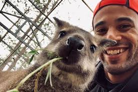 Fundraiser for Suzanne Varletti by Vincent Eugene Rubio : Celebrating The  Life Of Nate Stallworth