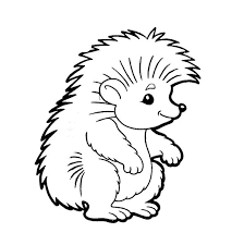 Laden sie fotos, illustrationen und bilder kostenlos herunter. Malvorlagen Von Igel Fur Kinder 100 Bilder Drucken Sie Online