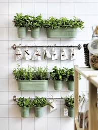 Verse Kruiden In De Keuken Thestylebox Keuken Planten Kruidentuinontwerp Kruidentuin Binnen