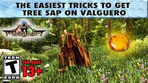 I've placed nearly 30 taps on the surrounding trees and i haven't got 1 sap and its been nearly 12 hours? How To Get Easy Tree Sap On Valguero The Easiest Tricks To Get Tons Of Sap On Valguero Youtube