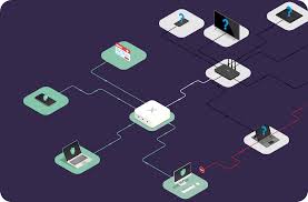 Image result for Loxodera