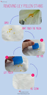 Of course, accomplishing this task increases your risk for staining your clothes. How To Remove Pollen Stains From Car Paint Classic Car Walls
