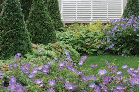 Garden Designer Leicester Award Winning