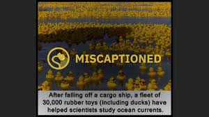 Wasten coraldale has been invaded by hostile sea elf raiders, but i found curtaros asleep and unharmed. Does This Photo Show A Rubber Duck Armada Lost At Sea Snopes Com