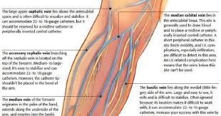 Mapping Out The Forearm Veins This Helps Students Who Are