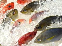 Shellfish poisoning is caused by eating shellfish contaminated with bacteria or, more commonly, viruses. Food Poisoning From Fish Scombroid