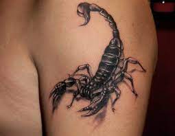 Perhaps it is merely because they seem cool. 18 Scary Scorpion Tattoo Design Ideas