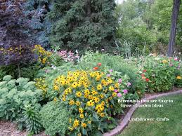 Daylilies when grown from a bare root sprout quickly and can often be seen sprouting in the package upon arrival to your house. Perennials Made Easy How To Create And Grow Amazing Gardens
