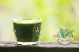 Matcha green tea and its positive effects on human health have been known to the japanese for nearly 1,000 years. Maulbeerblattpulver Kaufen Bei Teaworld De Ihrem Partner In Sachen Tee Und Mehr Teaworld