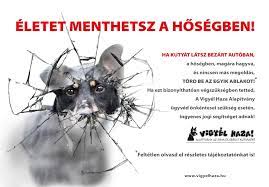 A települési önkormányzat legutóbbi ülésén is szóba. Ha Vegszukseg Van Akkor A Hosegben A Kocsiban Hagyott Kutya Eletenek Erdekeben Akar Auto Ablaka Is Betorheto Vigyel Haza Alapitvany Az Arva Es Serult Kutyakert Fogadj Orokbe Egy Kutyat