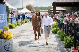 4.5 out of 5 stars 2. On Weg Goals And Giving Back A Conversation With Andrew Hoy Eventing Nation Three Day Eventing News Results Videos And Commentary