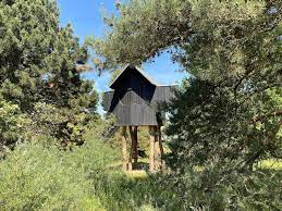 Fujimori ist nicht nur kenntnisreich, er ist auch charmant mackig. Chihiros Teehaus Marlowes