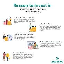 Reasons To Invest In Elss In 2020 Investing Portfolio Management Systematic Investment Plan