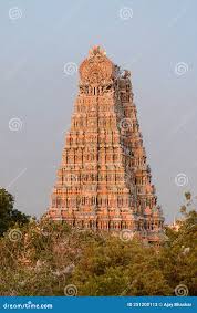 242 Meenakshi Temple Art Stock Photos ...