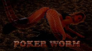 Poker Worm - Sex Game - stripparadise.com