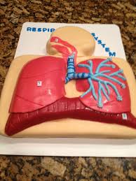 Pin By Stacy Cobbins On Cups W Caring Cakes Respiratory System Projects Human Body Systems Life Science Projects