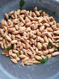 Hari ni saya nak berkongsi kejayaan saya membuat kuih siput. Kuih Siput Ranggup Cukup Rasa Rempah Aroma Daun Kari Sekali Makan Nak Lagi Pa Ma