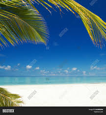 Tropical Beach Ocean Image Photo Free Trial Bigstock