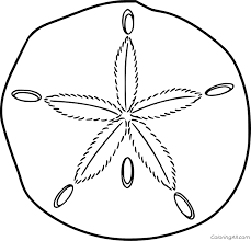A sand dollar can randomly spawn on the beach. Sand Dollar Coloring Pages Coloringall