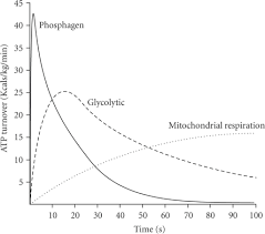 energy system interaction and the differences in rates open i