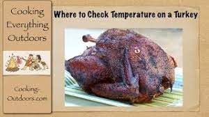 Where To Check Temperature On A Turkey Easy Grilling Tips Youtube