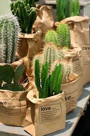The first place to start when troubleshooting the watering of your cactus is to evaluate how frequent you. Paper Bag Flower Pot Diy Homelovein Cactus Plants Plants Green Plants