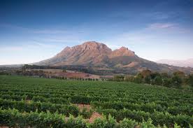 You could use one day to get away to stellenbosch, even if you are not wine fanciers. Stellenbosch Wine Routes Cape Town Travel