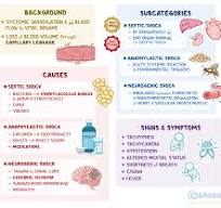 Distributive Shock: What Is It, Signs, Treatment, and More ...