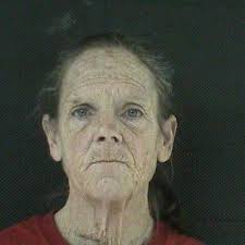 Agencies team up in Telluride bike theft arrests