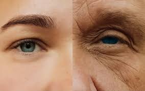 Anti ageing treatments for Smooth Skin