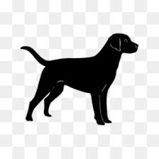 #black lab #red lab #chocolate lab #labs are the love of my life! Cute Black Lab Cartoon Novocom Top