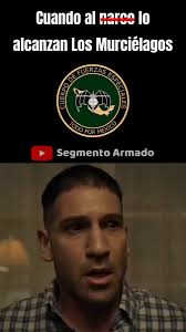 Segmento Armado's Video