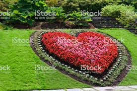 Heart Shaped Flower Bed In Ornamental Garden Flower Beds Backyard Flowers Beds Landscaping With Rocks