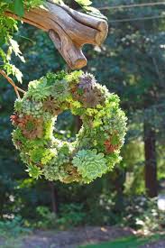 Hauswurz Kranz Von Biene21234 Succulent Wreath Plants Succulents Garden