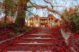 May 28, 2021 · it was transferred back to tatoi in 1995 after the creation of the air force museum; Parnitha National Park And Tatoi Palace Hostelbay Com Uk