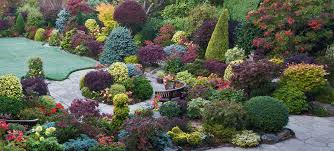 We did not find results for: Rare Japanese Maples Conifers Other Trees Maplestone Ornamentals