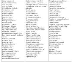 Image result for Rytigynia monantha