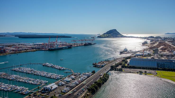 Dịch Vụ Vận Chuyển Việt Nam – Dunedin Bằng Đường Biển Uy Tín, Giá Tốt