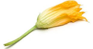 The most popular way to cook zucchini flowers is to stuff the blossoms with ricotta or goat cheese (some folks like cream cheese, too), batter them in a. How To Cook With Zucchini Blossoms Cook S Illustrated