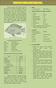 Jadi, bisa dikatakan kalau budidaya ikan nila ini sangat menguntungkan jika menanyakan pakan ikan nila, sebenarnya terbilang mudah member pakan pada ikan nila. Pdf Bakso Ikan Nila Rizki Awalfindy Academia Edu
