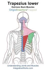 Pin On Yoga